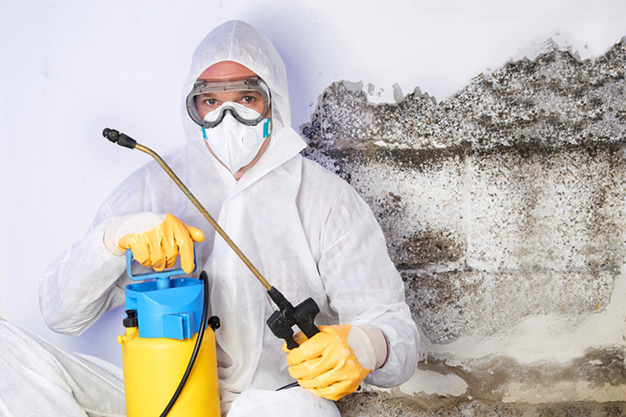 Water Damage Restoration Service in Sydney